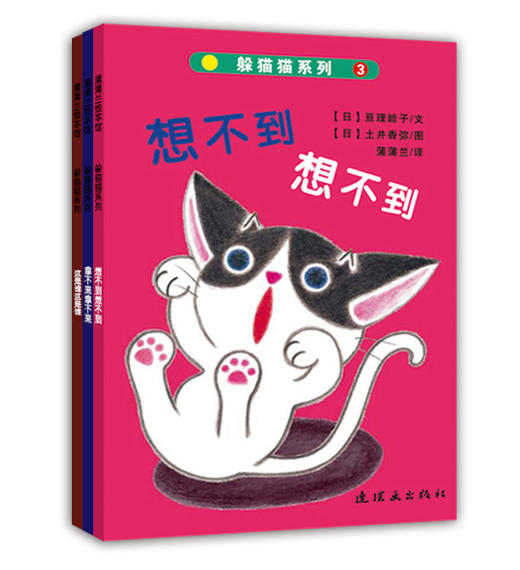 蒲蒲兰绘本馆官方微店：躲猫猫系列（套装3册）—— 幼儿启蒙互动游戏书 商品图0