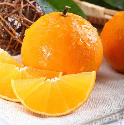 挂在树上的果粒橙果肉细腻无渣果汁丰盈甘甜台州红美人