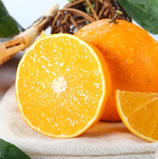 挂在树上的果粒橙 果肉细腻无渣 果汁丰盈甘甜 台州红美人