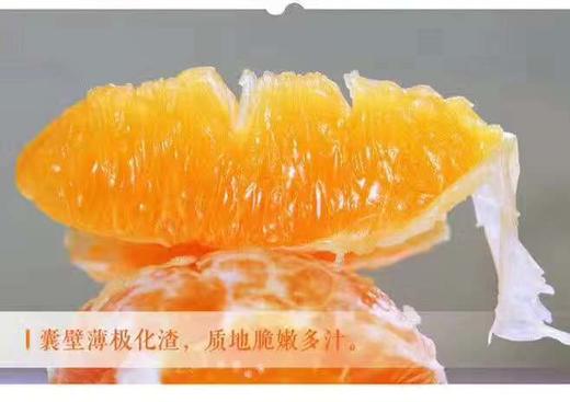 涌泉蜜桔（5000g）精品礼盒装 商品图4
