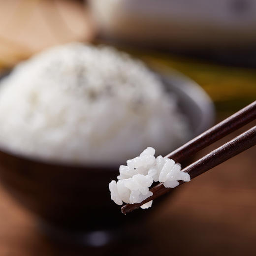 产地直发，当季新米!酵素种植的五常稻花香大米，东北五常酒姐自留地直供 商品图5