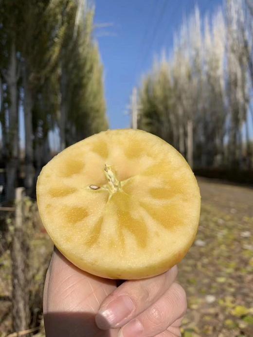 阿克苏冰糖心（4000g） 商品图3