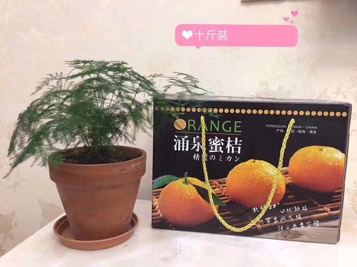 涌泉蜜桔（5000g）精品礼盒装 商品图1