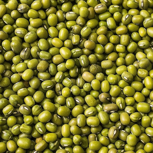 彩虹雨 有机杂粮 有机绿豆389g 满百包邮 商品图5