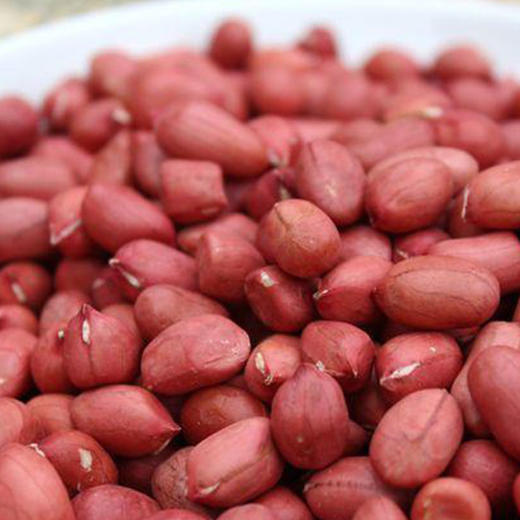 彩虹雨 有机杂粮 有机花生米359g  满百包邮 商品图4