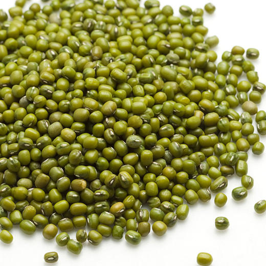 彩虹雨 有机杂粮 有机绿豆389g 满百包邮 商品图2