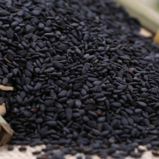 彩虹雨 有机杂粮 有机黑芝麻319g 满百包邮 商品图4