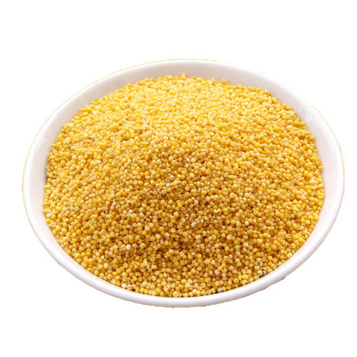 彩虹雨 有机杂粮 有机小米389g 满百包邮 商品图3