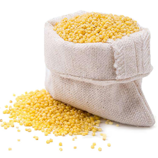 彩虹雨 有机杂粮  有机大黄米389g 满百包邮 商品图4