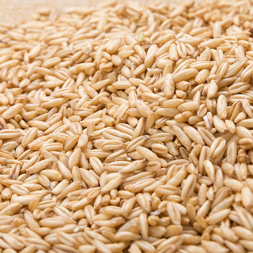 彩虹雨 有机杂粮 有机燕麦米389g 满百包邮 商品图3