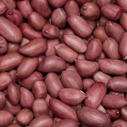 彩虹雨 有机杂粮 有机花生米359g  满百包邮 商品图5