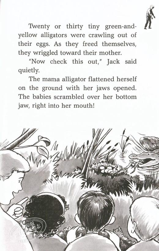 预售 【中商原版】A to Z Mysteries 神秘案件全套26册 神秘事件 字母版 英文原版 儿童文学章节书 悬疑探险经典侦探推理小说 商品图3