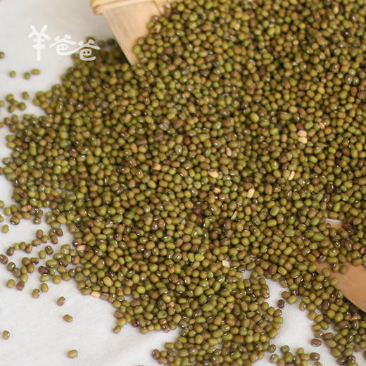 「小粒绿豆」清热降火 农家自然种植 商品图1
