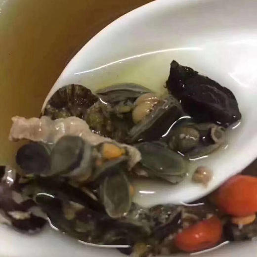 【海鲜精选】东山海鲜•野生将军帽 炖汤 加点当归 枸杞 缓解疲劳必备的汤  海边人视它为珍宝 1盒/1斤装 商品图2