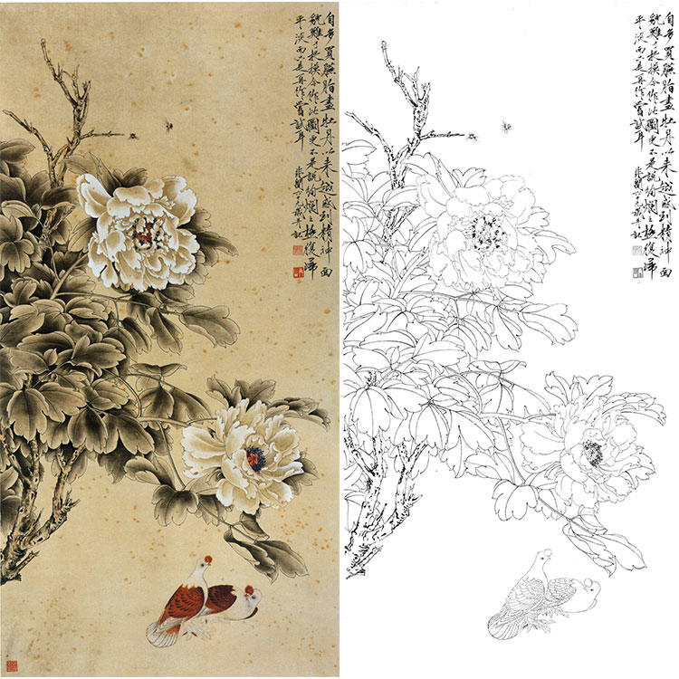 于非暗白描底稿-工笔花鸟鸽子-牡丹双鸽-yf82