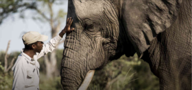 杨先生津巴布韦&博茨瓦纳 纳米比亚