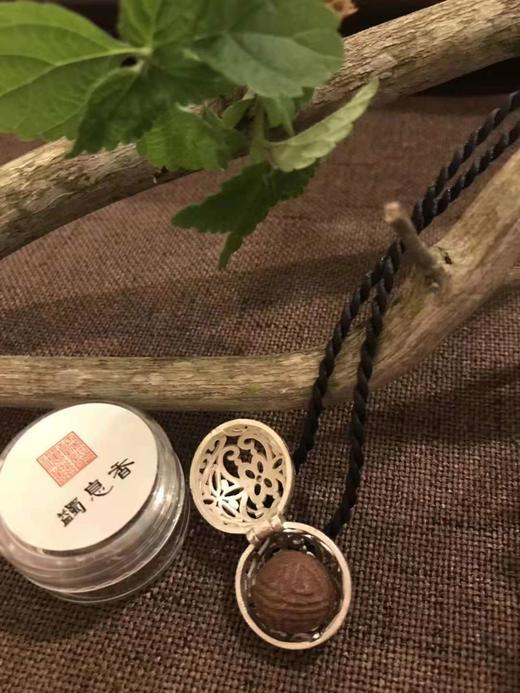 悦龙丸 含沉檀龙麝（原蠲息香丸） 商品图2