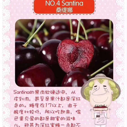 车厘子9行超大的硬货车厘子，果子炒鸡硬，口感特别甜，杆子碧绿脆甜多汁，味道浓郁。 商品图8