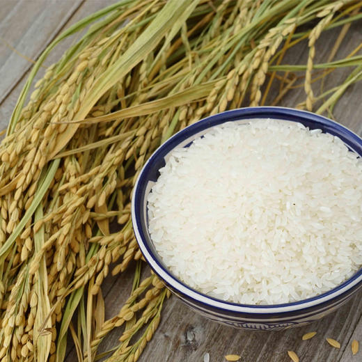 天野园大米稻花香精品礼盒 1kg*4  现磨现卖 稻花香2号 人工收割 自然晾晒 商品图1