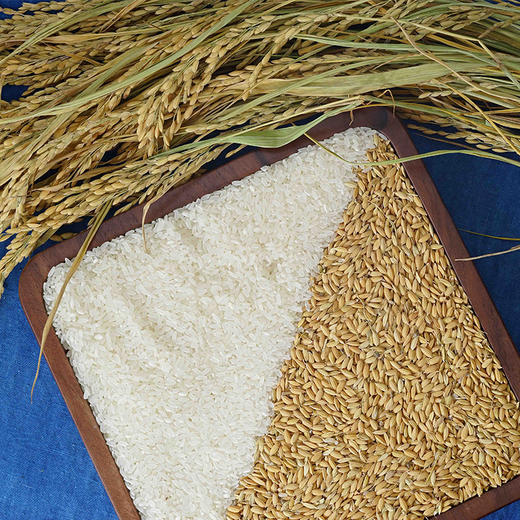 天野园大米稻花香精品礼盒 1kg*4  现磨现卖 稻花香2号 人工收割 自然晾晒 商品图2