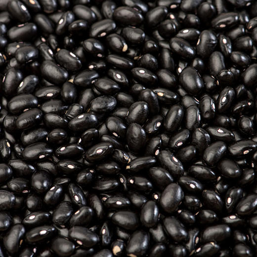 彩虹雨 有机杂粮有机黑豆389g   满百包邮 商品图2