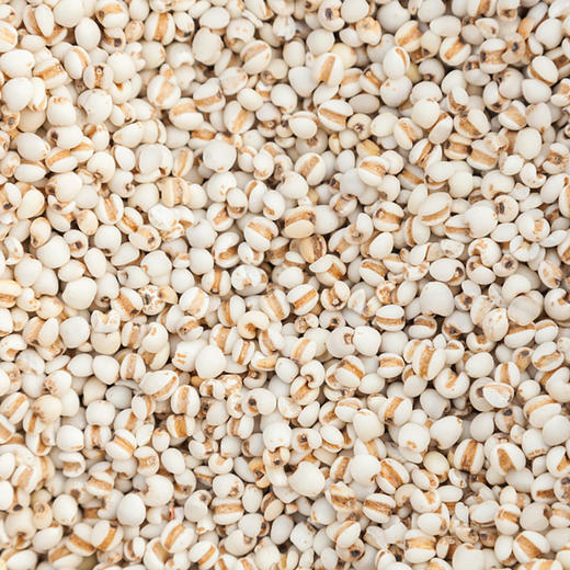 彩虹雨 有机杂粮 有机薏仁米389g 满百包邮 商品图3