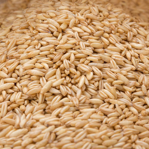 彩虹雨 有机杂粮 有机燕麦米389g 满百包邮 商品图2