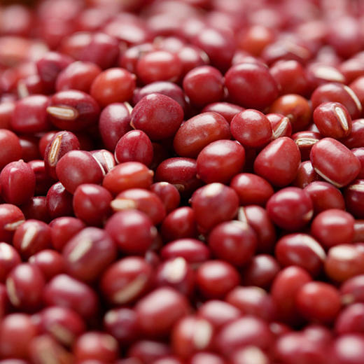 彩虹雨  有机杂粮 有机红小豆389g 满百包邮 商品图2