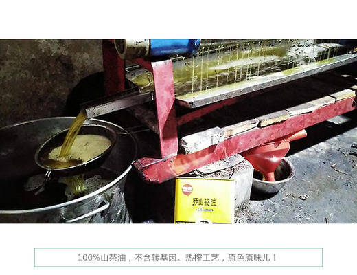 野山茶油礼盒装  3L  包邮 商品图1