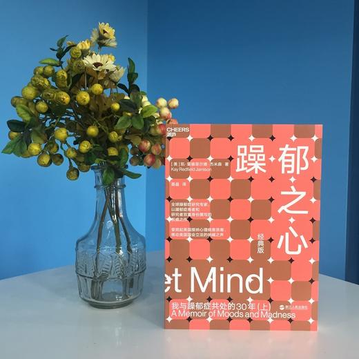 湛庐┃躁郁之心：我与躁郁症共处的30年（上） 商品图1