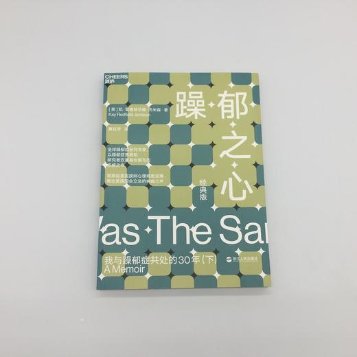 湛庐┃ 躁郁之心：我与躁郁症共处的30年（下） 商品图2