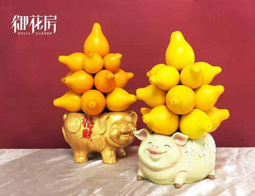 黄金万两 · 盆栽（含花盆） 商品图2