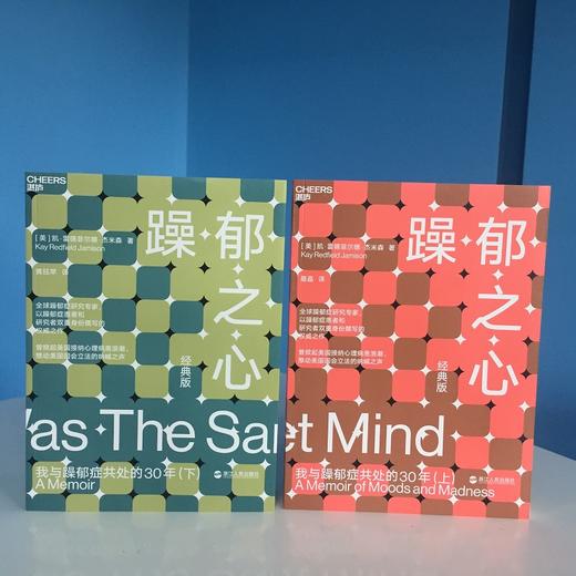 湛庐┃躁郁之心 上下册  共2册 商品图2