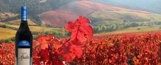 智利拉博斯特阿帕尔塔红葡萄酒Casa Lapostolle Clos Apalta2013 商品图4