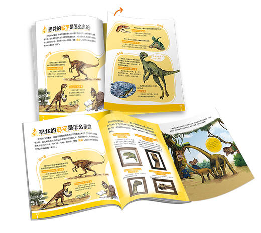 《恐龙博士 窃蛋龙真的偷蛋吗？》丨7-10岁适读 揭开窃蛋龙偷蛋真相，讲述恐龙的命名和化石发现 商品图2