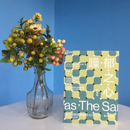 湛庐┃ 躁郁之心：我与躁郁症共处的30年（下） 商品图1