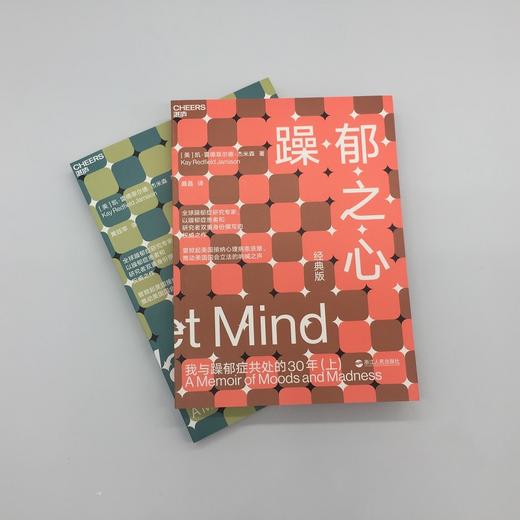 湛庐┃躁郁之心 上下册  共2册 商品图3