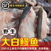 【野生大白鳗鱼（肉块）】新鲜鳗鱼肉块 10斤以上野生大白鳗鱼切块装盒 每盒净重约420g 顺丰冷链配送到家 商品缩略图1