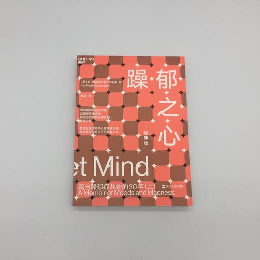 湛庐┃躁郁之心：我与躁郁症共处的30年（上） 商品图2