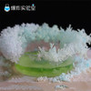 魔法化学水晶 商品缩略图1