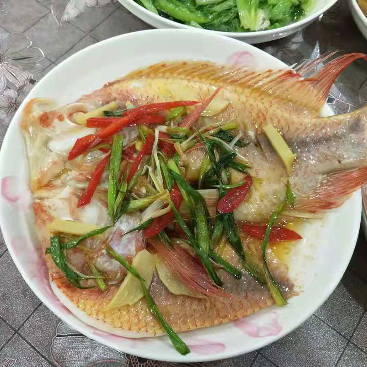 醇香彩虹斑鱼刺少肉多好吃易做每条净重约420480克有调味