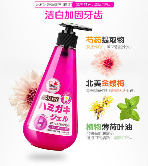 日本原装进口皓齿清川西按压式成人牙膏251g去黄去牙渍 商品图5