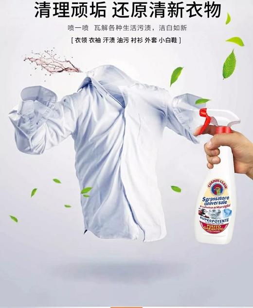 意大利公鸡头厨房油烟机清洁剂625ml 商品图6