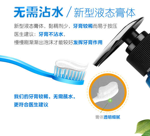 日本原装进口皓齿清川西按压式成人牙膏251g去黄去牙渍 商品图2