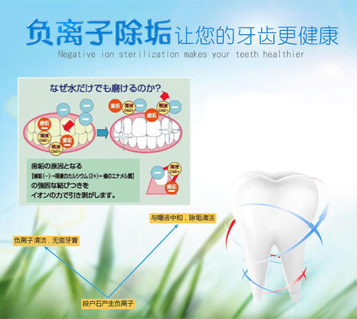 日本原装进口皓齿清川西按压式成人牙膏251g去黄去牙渍 商品图11