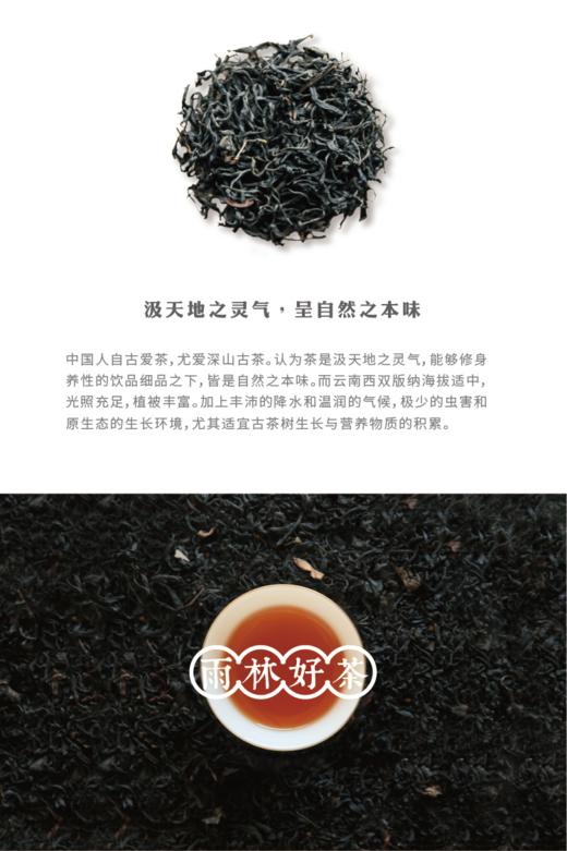 安叶家自产野生古树红茶（60克/125克 商品图1