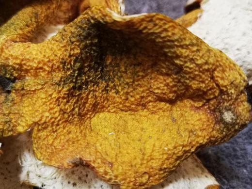 2018梅江驳枝大红皮（500克） 商品图3