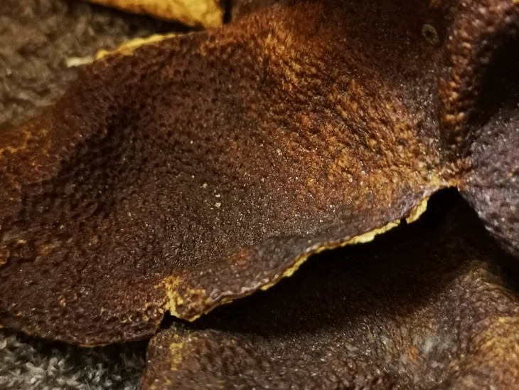 2010东甲驳枝大红皮250克