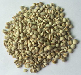 熟（小）薏米（5斤装）