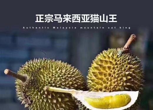 【猫山王榴莲】正宗D197液氮猫山王最新到货！最好吃的榴莲哦（后补差价） 商品图4